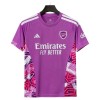 Camisetas Arsenal Portero 2026/27 Violeta - Hombre Camisetas Arsenal Portero 2026/27 Violeta - Hombre