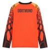 Camisetas Borussia Dortmund Portero Primera 2026/27 Manga Larga Naranja - Hombre