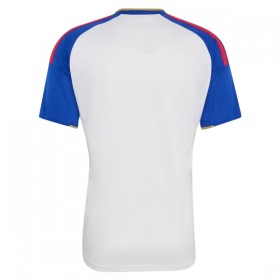 Camisetas Olympique Lyonnais Primera 2026/27 - Hombre