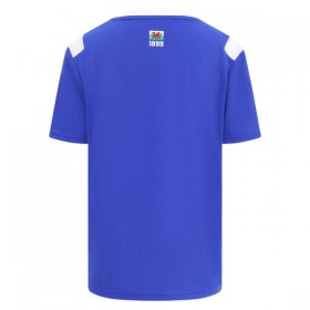 Camisetas Cardiff City Primera 2026/27 - Hombre
