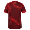 Camisetas Internacional Tercera 2026/27 - Hombre