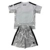 Camisetas Real Madrid Portero 2026/27 Gris - Niño (+ Pantalones)