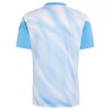 Camisetas Argentina Farewell Pre-Match Aniversario 2026/27 - Hombre