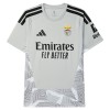 Camisetas Benfica Portero 2026/27 Gris - Hombre