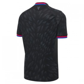 Camisetas Crystal Palace Segunda 2026/27 - Hombre